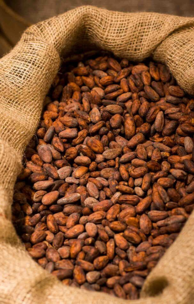 In ancient Mesoamerica, cocoa beans were so valuable that they were used to pay taxes and buy goods like clothing or even slaves.
