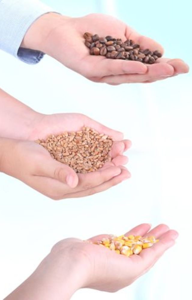 Foods Once Used as Money