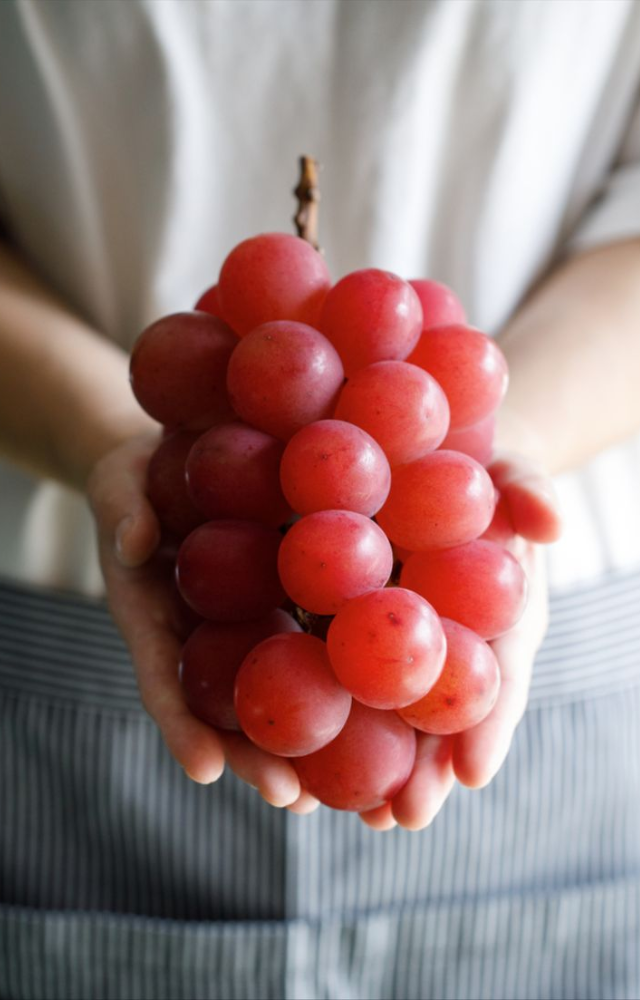 A single bunch of these grapes sold for 8–10 lakh. Each grape is large, flawless, and incredibly sweet with low acidity.

