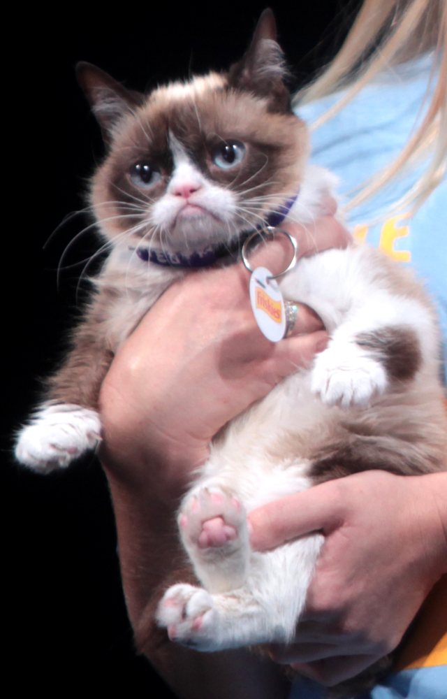 While not through inheritance, this viral feline earned over $100 million through merchandise, appearances, and endorsements.
