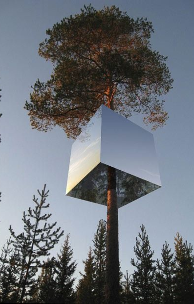 A reflective cube suspended in the forest canopy, its mirrored walls disappear into the treetops while interiors offer modern comfort.
