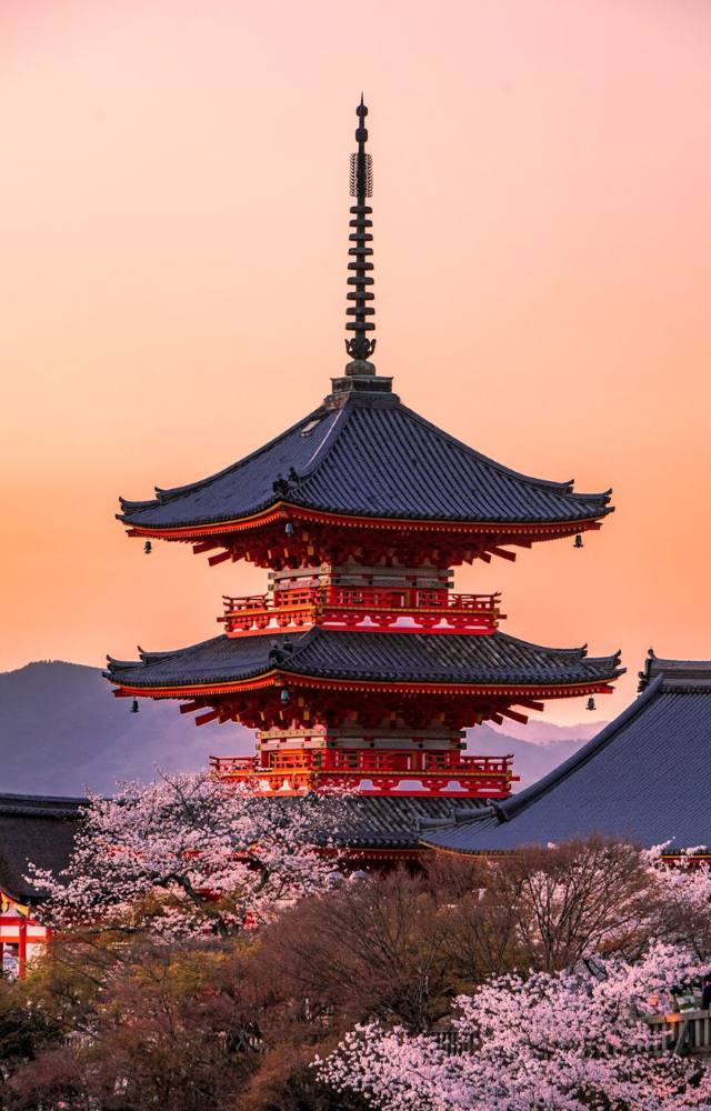 In Kyoto and Nara, ancient temples and shrines sit under thick canopies, and moss-covered paths connect nature with cultural life.
