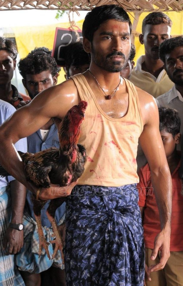 K P Karuppu is a young man from Madurai who is a rooster trainer and works under Pettaikaran and is deeply involved in rooster fights.