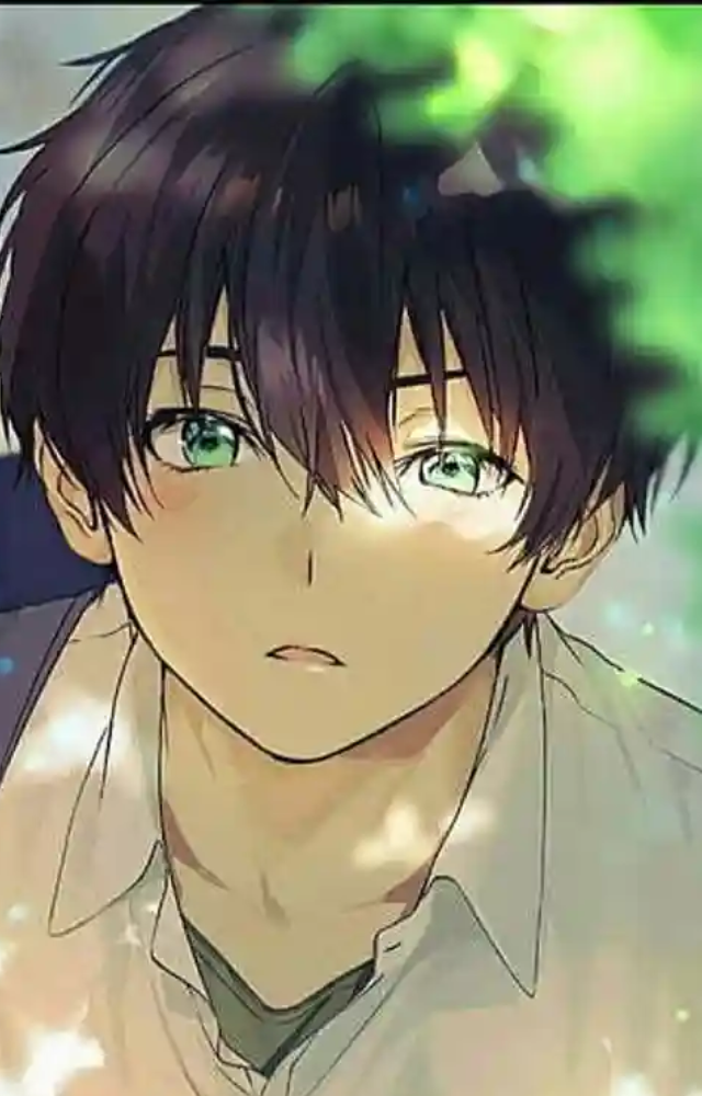 Top 7 Anime Series for Beginners