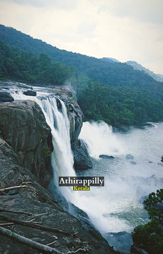 The Athirappilly Falls is the largest waterfall in Kerala and is often referred to as the Niagara of South India. The surrounding area is a scenic blend forest