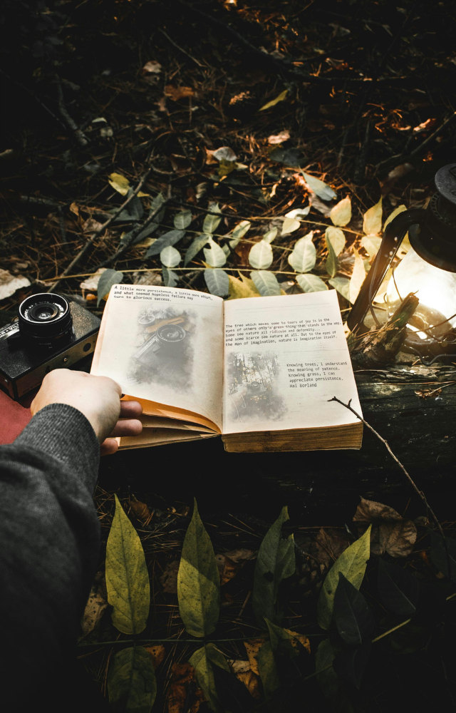 7 Lesser Known Benefits of Reading Daily