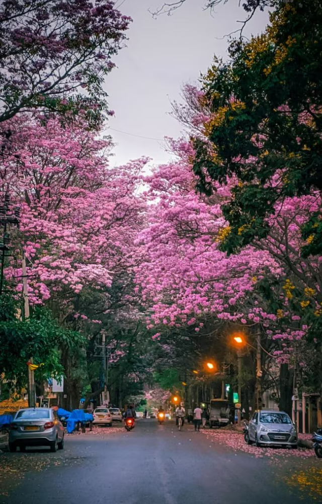 Bengaluru this April