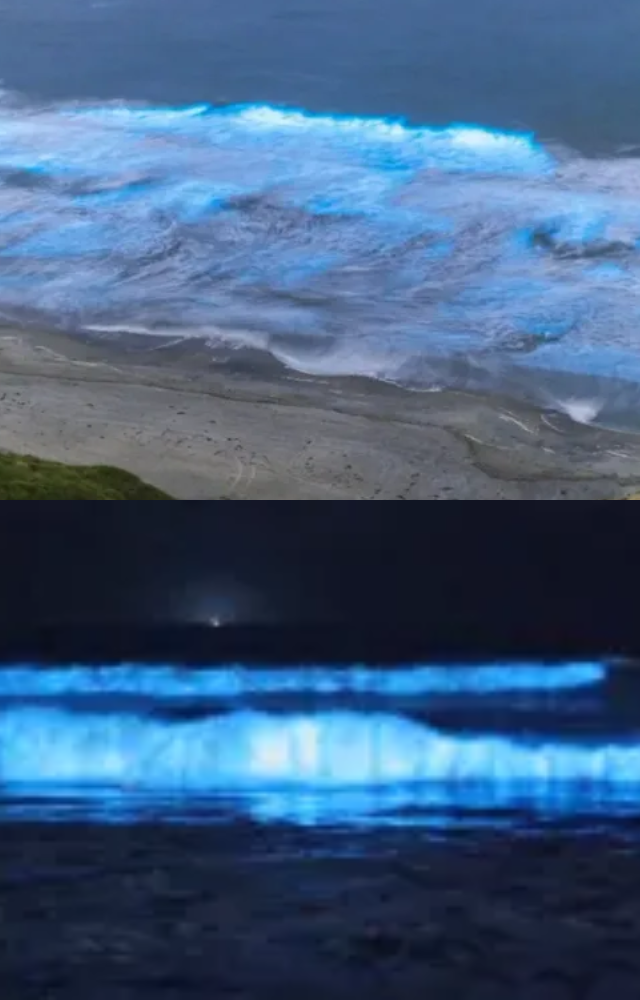 Chennai`s Waves: Nature`s Light Show