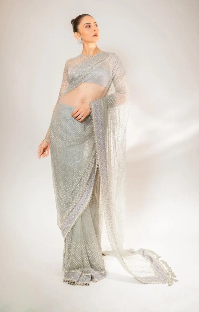 Rakul Preet Singh posted pictures in this heavenly silver saree