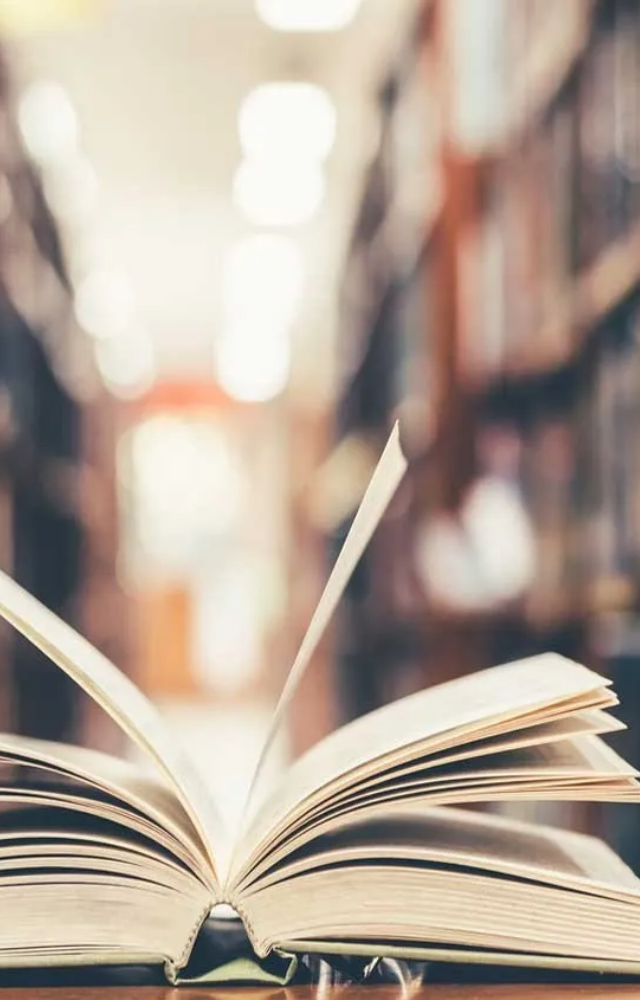 Must-Reads for Book Lovers