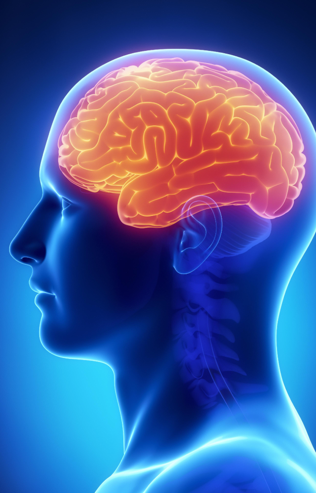But what is a brain aneurysm? Let`s understand its causes, signs, symptoms, treatment, and how it can affect your everyday life.