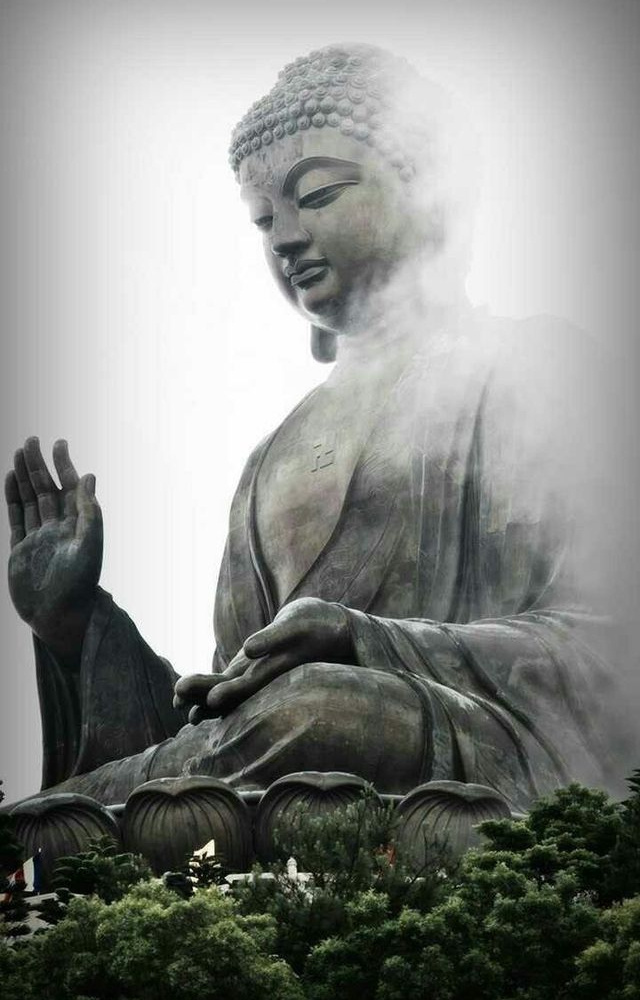 'Let all-embracing thoughts for all beings be yours.'