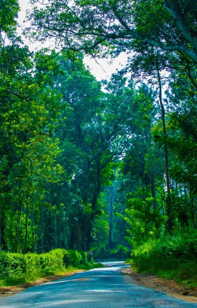 Bangalore Monsoon: 5 places to explore