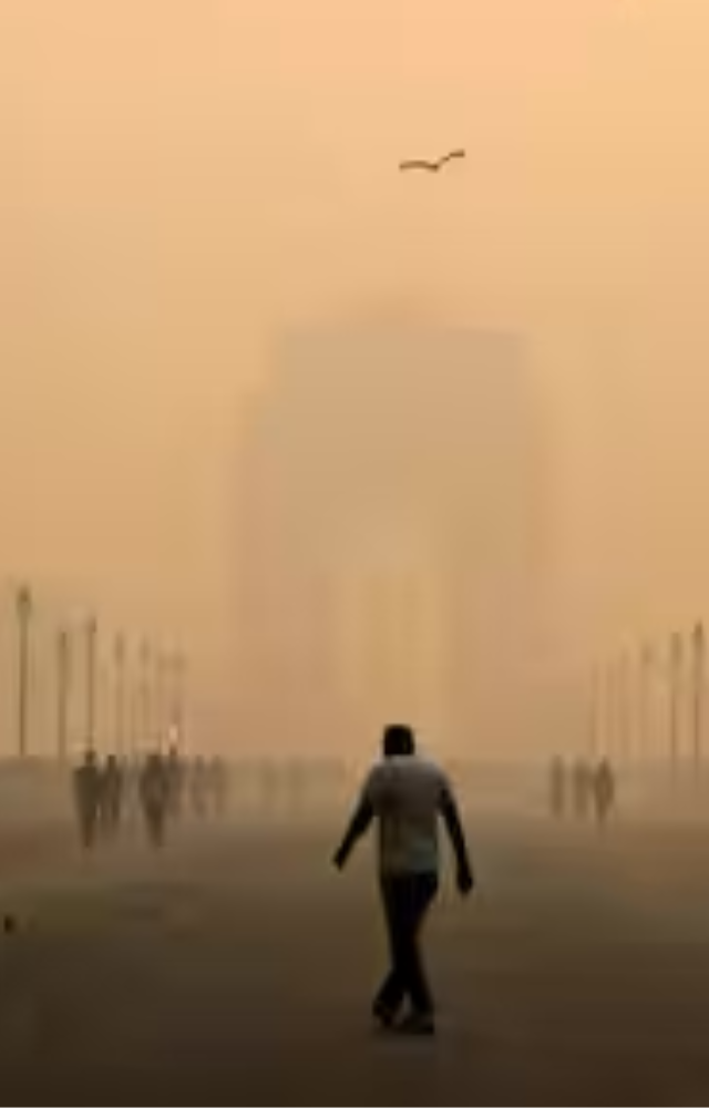 Stubble burning in nearby states like Punjab and Haryana plays a major role in contributing to the severe pollution levels in Delhi.