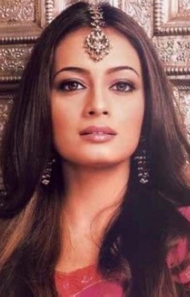 7 Best Dia Mirza Movies And Web Series