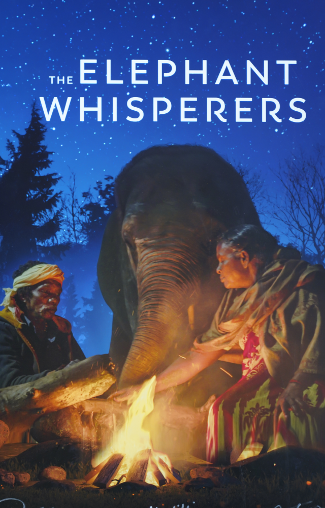 Discover the touching connection between a tribal couple and rescued elephants in the scenic Mudumalai National Park.