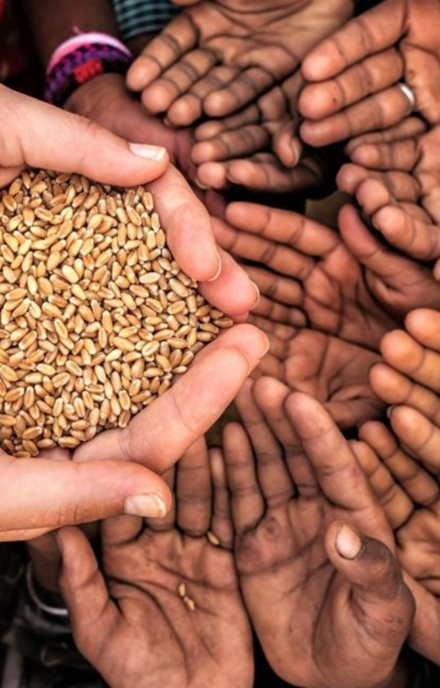 Offer 10 items like food, clothing, or sweets to those in need on Dussehra. This promotes joy and contributes to the well-being of others.