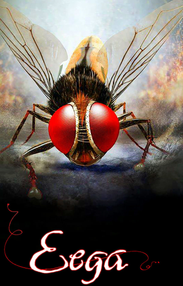 This Telugu film is about a man who is reincarnated as a housefly after being murdered