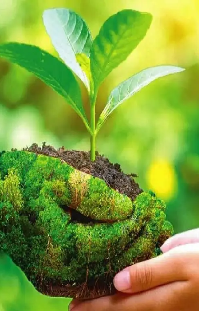 Why do we Celebrate Environmental Day