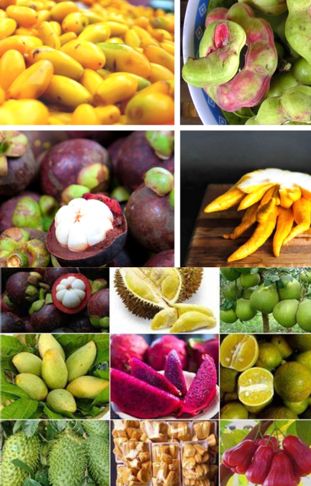 Grow Exotic Fruits at Home
