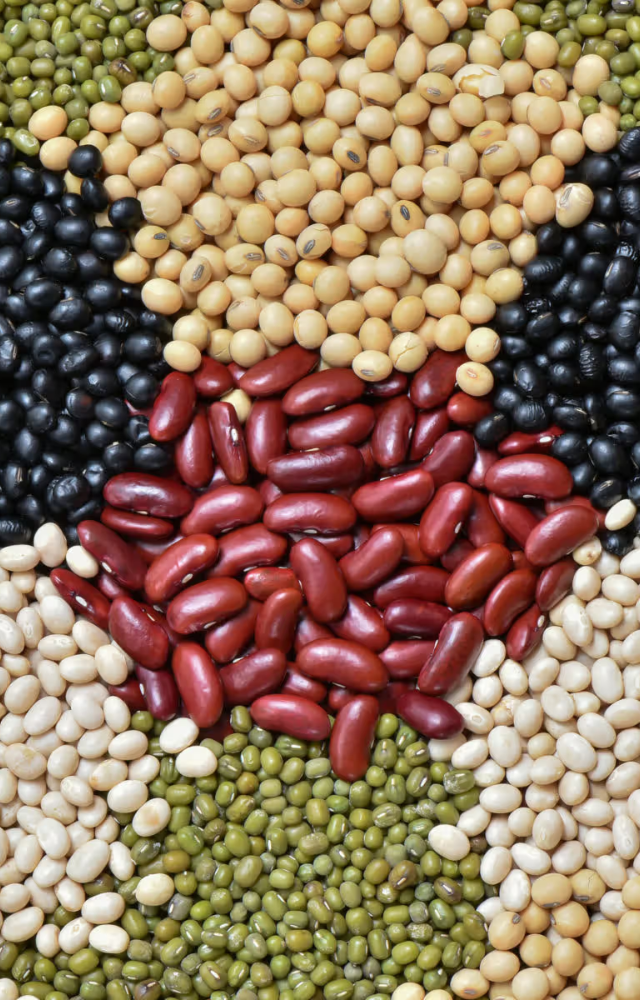 Lentils, beans, and chickpeas are significant fibre and protein sources. Incorporate into routine meals like soups and salads for satiety and digestive support.