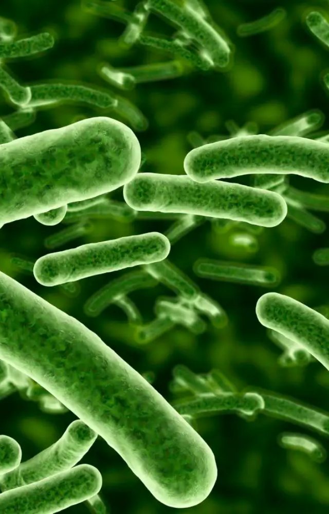 STSS is a rare but serious bacterial infection. It`s caused by group A Streptococcus (GAS) bacteria, also known as strep.