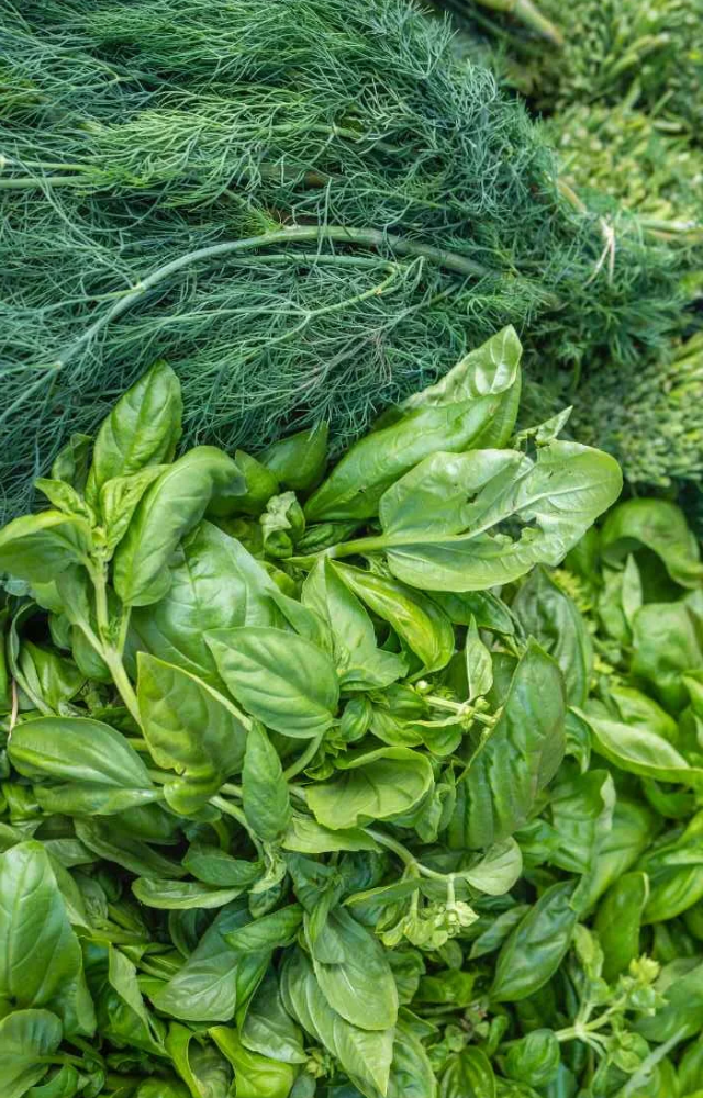 Leafy greens like spinach, cabbage, and lettuce are more prone to contamination during monsoons and harbor bacteria and parasites, leading to digestive issues.