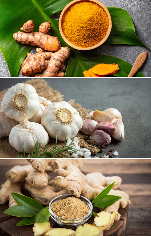 7 Herbs to Boost Immunity in Monsoon