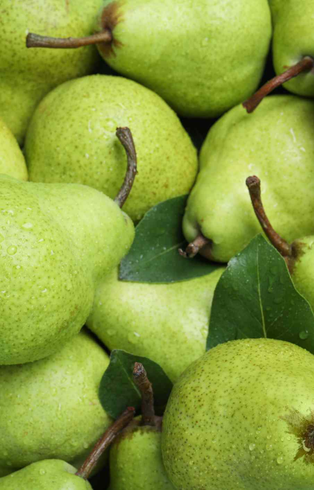 7 Health Benefits of Eating Pears