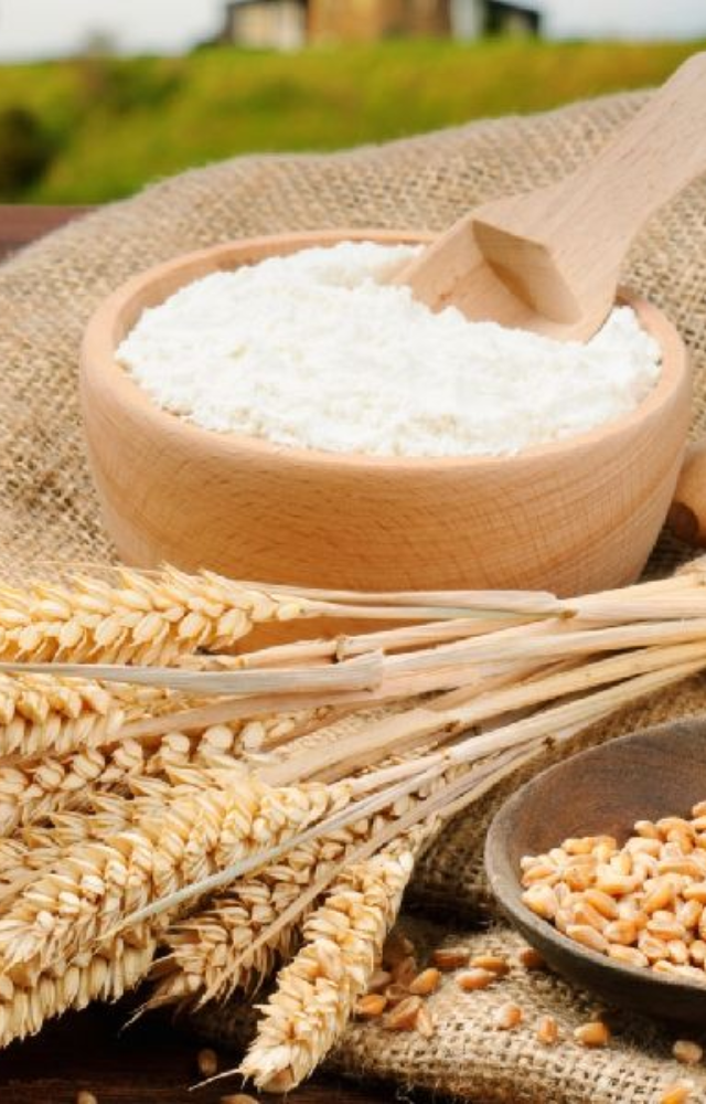 5 Healthy Alternatives to Maida