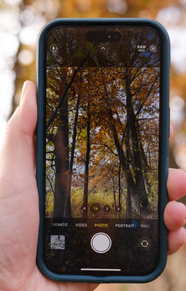 Enable RAW capture in Pro models for uncompressed images, offering greater editing flexibility and professional-quality results.