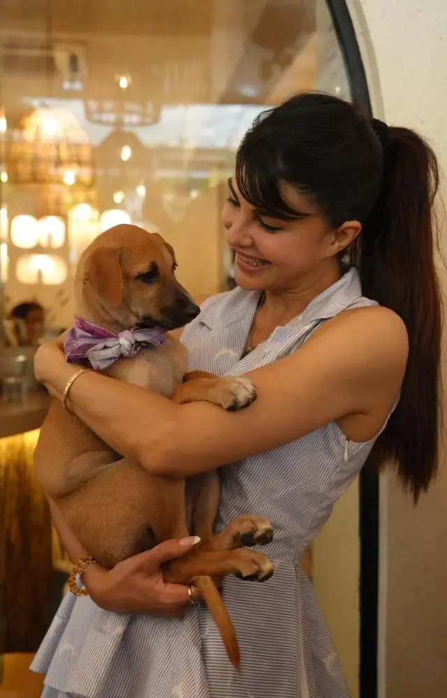 Jacqueline paints with indie puppies