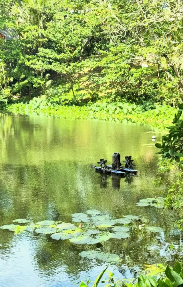 In one of the pictures, she captured a nearby pond located in the midst of greenery