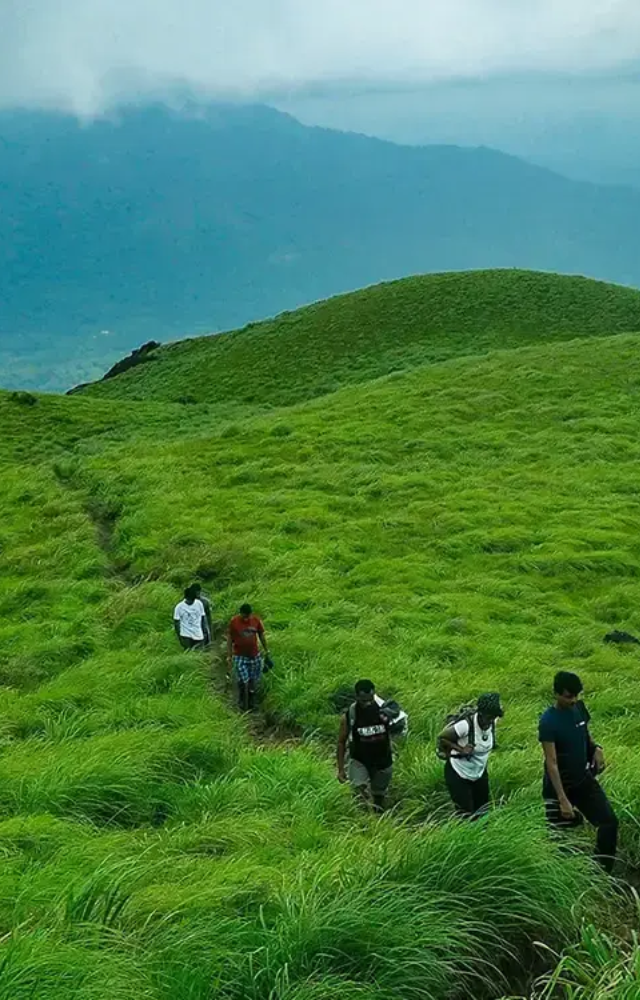 Munnar, Wayanad, and Thekkady are popular hill stations in Kerala, known for their tea plantations, mist-covered mountains, and wildlife sanctuaries.