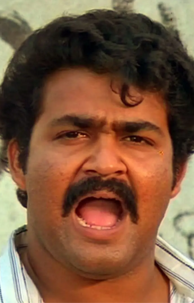 A lovable bumbling character in a comedy caper.