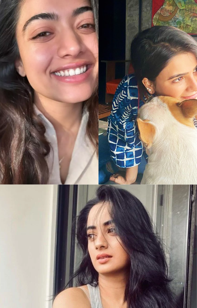 South Indian Celebrities and Lazy days