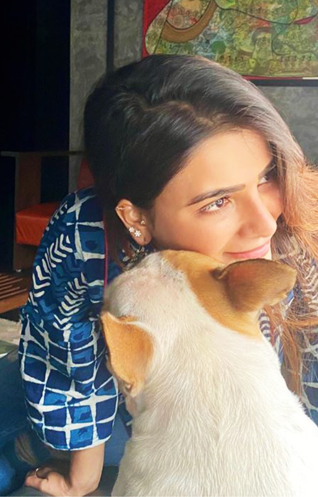 Samantha is an very influential person in Social media. She shares her cute moments and pampering sessions with her followers