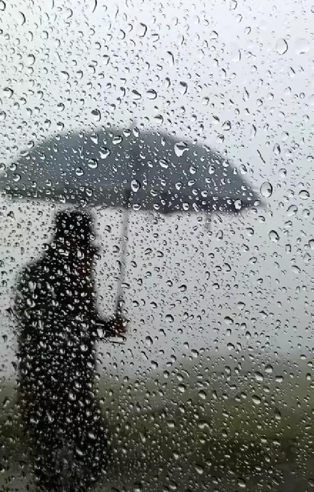 6 Monsoon Health And Safety Tips