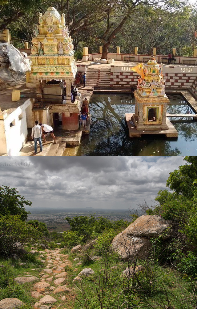 The trek to Narayanagiri is also popular among adventure enthusiasts and nature lovers. The serene atmosphere and natural beauty of Narayanagiri 