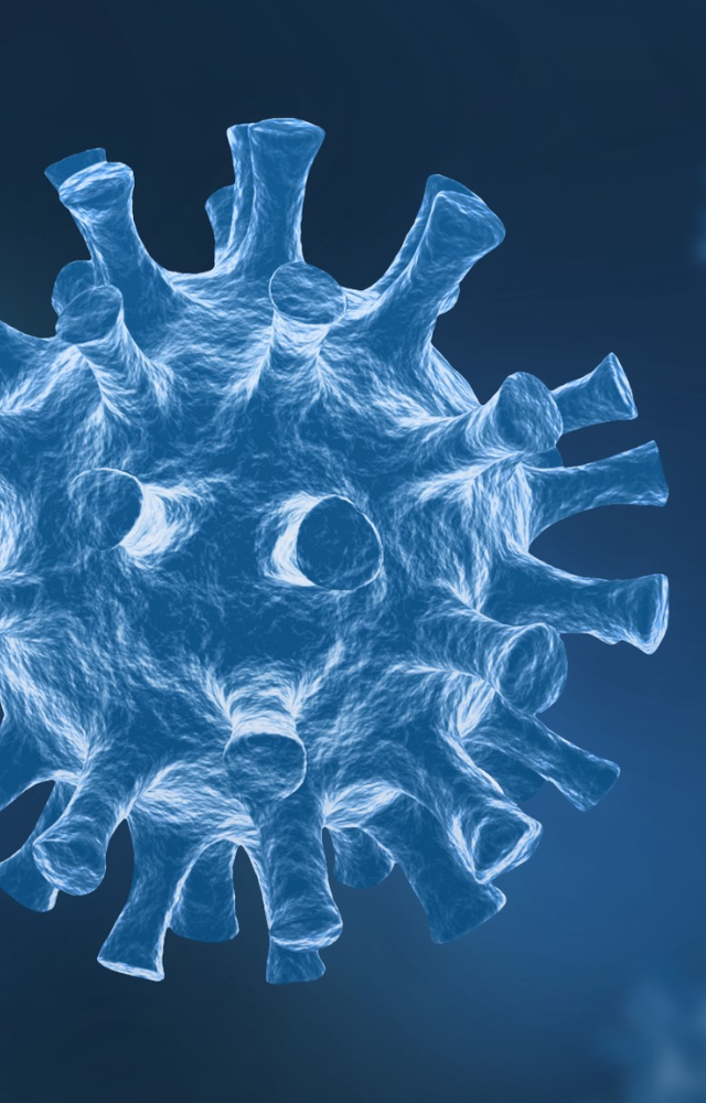 What is HKU5, Newly Detected Coronavirus
