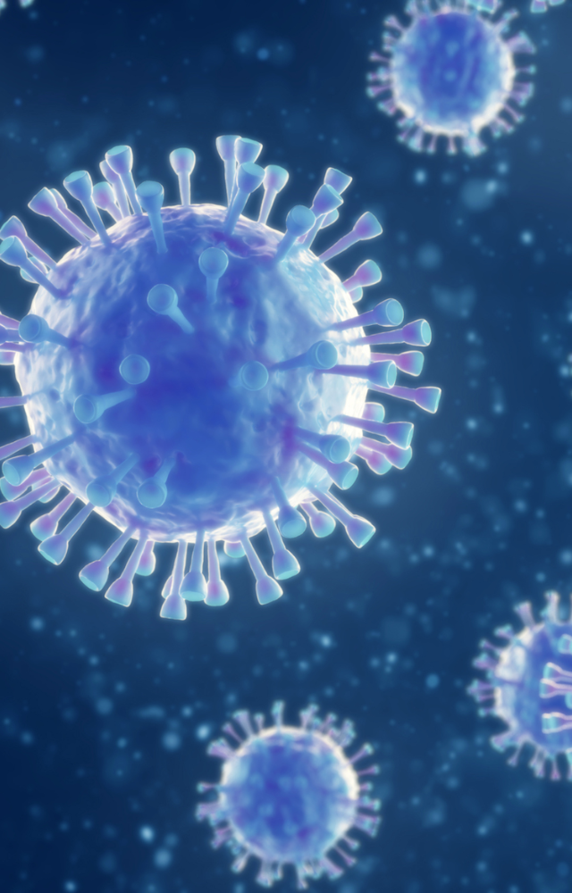 Researchers in China have identified HKU5-CoV-2, a new bat coronavirus with the potential to infect humans.