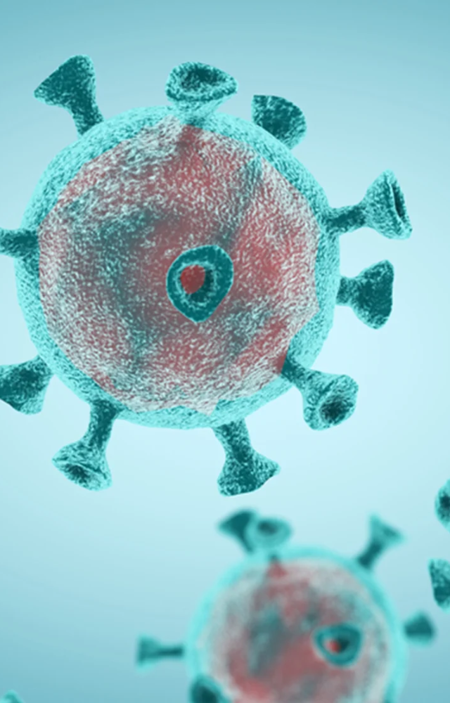 While it can infect human cells in labs, HKU5-CoV-2`s binding efficiency to ACE2 is lower than SARS-CoV-2, suggesting a lower risk of widespread transmission.