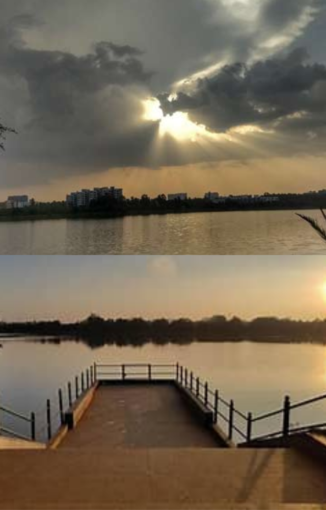  A peaceful spot for birdwatching and a leisurely walk, Jakkur Lake is perfect for a quiet afternoon.