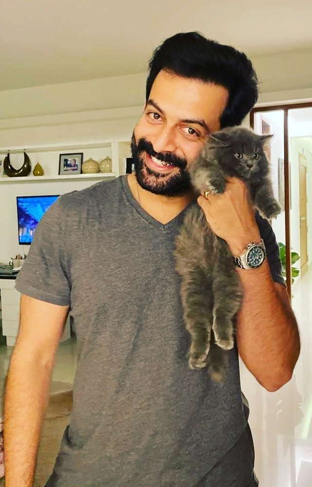 Versalities of Prithviraj