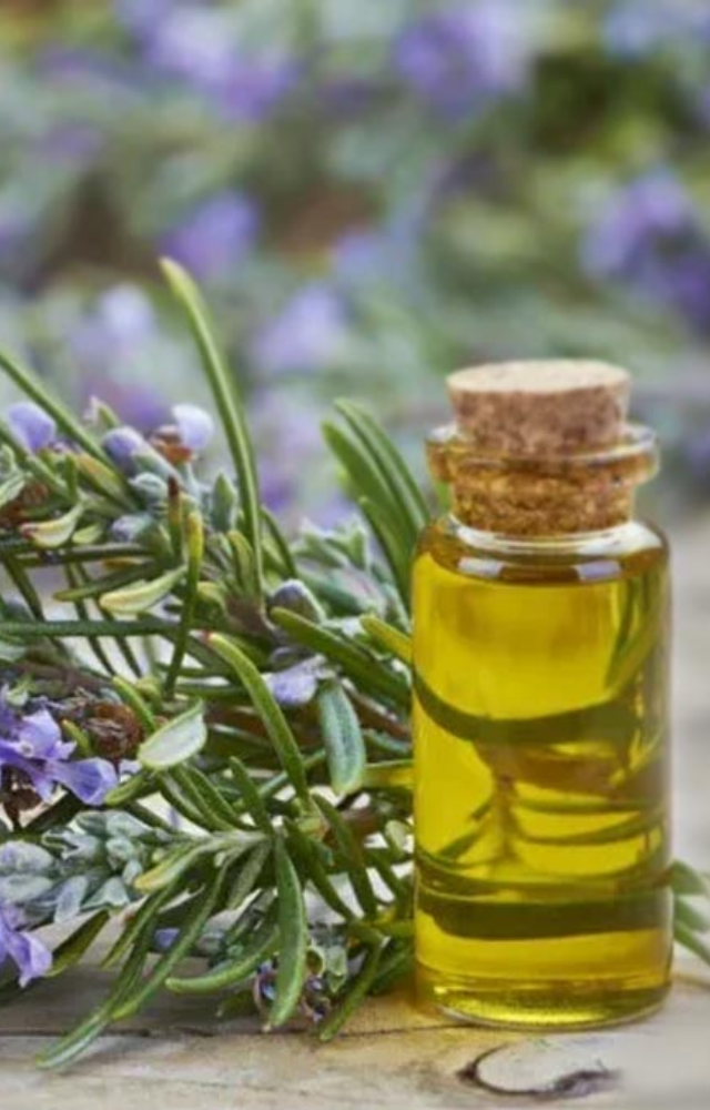 Inhaling rosemary oil has been shown to potentially lower levels of cortisol, the stress hormone. This can have a cascading effect on overall well-being.