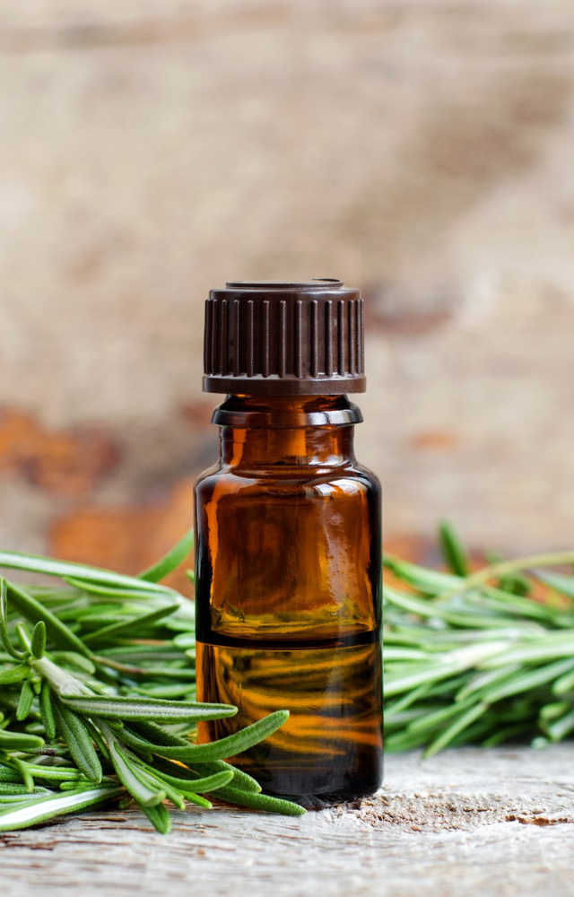 Beyond general memory boosts, rosemary oil may improve prospective memory (remembering to do things in the future). This can be very useful in everyday life.