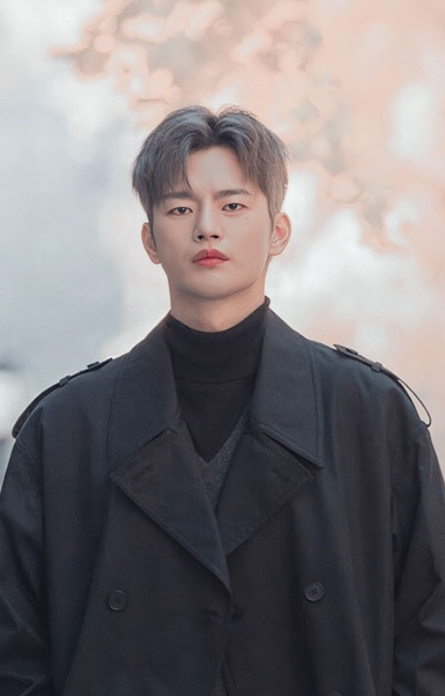 Top Korean TV Shows With Seo In-guk