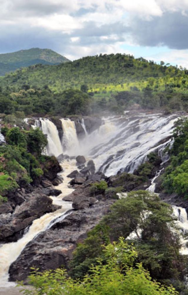 Located about 125 km from Bangalore, this waterfall is known for its twin falls, Gaganachukki and Bharachukki