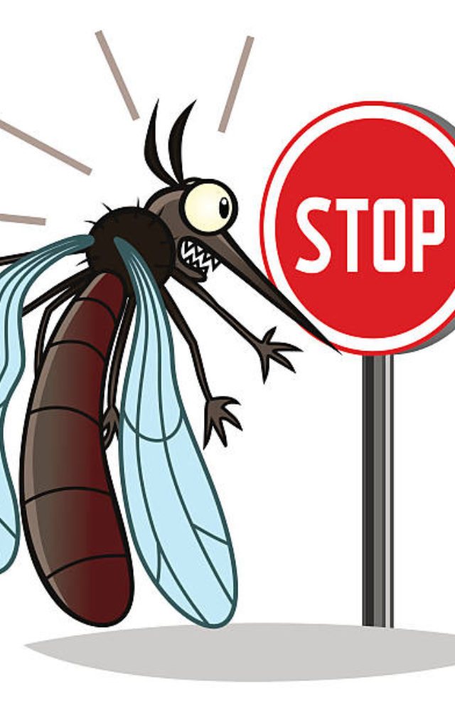 Best Strategies to Keep Mosquitoes Away