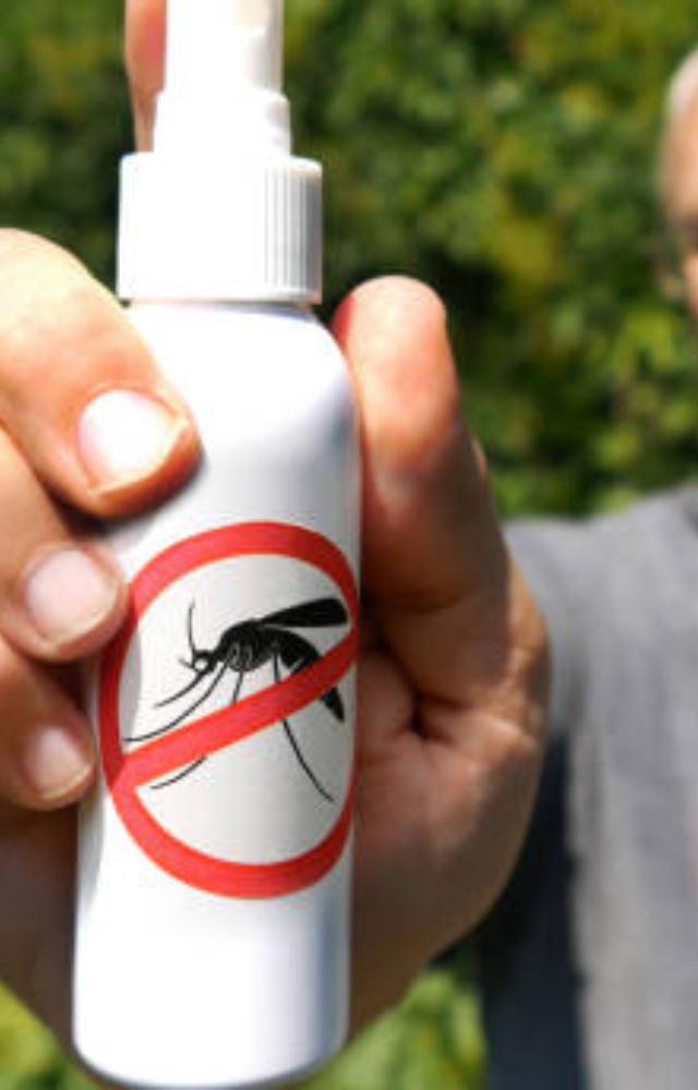 Here are some effective strategies to keep the mosquitoes away from your house and prevent these fatal diseases from reaching you.